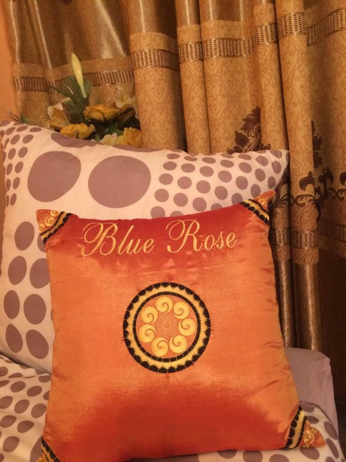 Blue Rose Apartman 卡罗维发利 外观 照片
